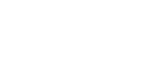 Burrows Wealth Management logo