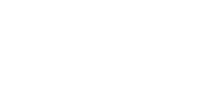 Stout Wealth Management logo