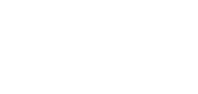 Vertical Wealth Plans Logo