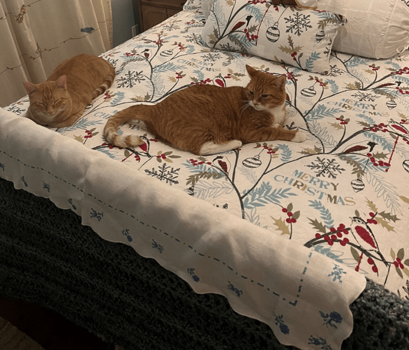 Oliver and Prince Harry