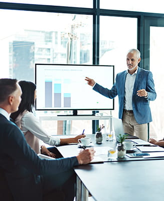 Public Sector Executives