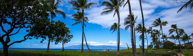 From the Top of Haleakala, the View is Inspiring