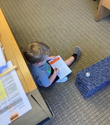 Young Boy Doing Homework