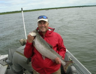 King Fish