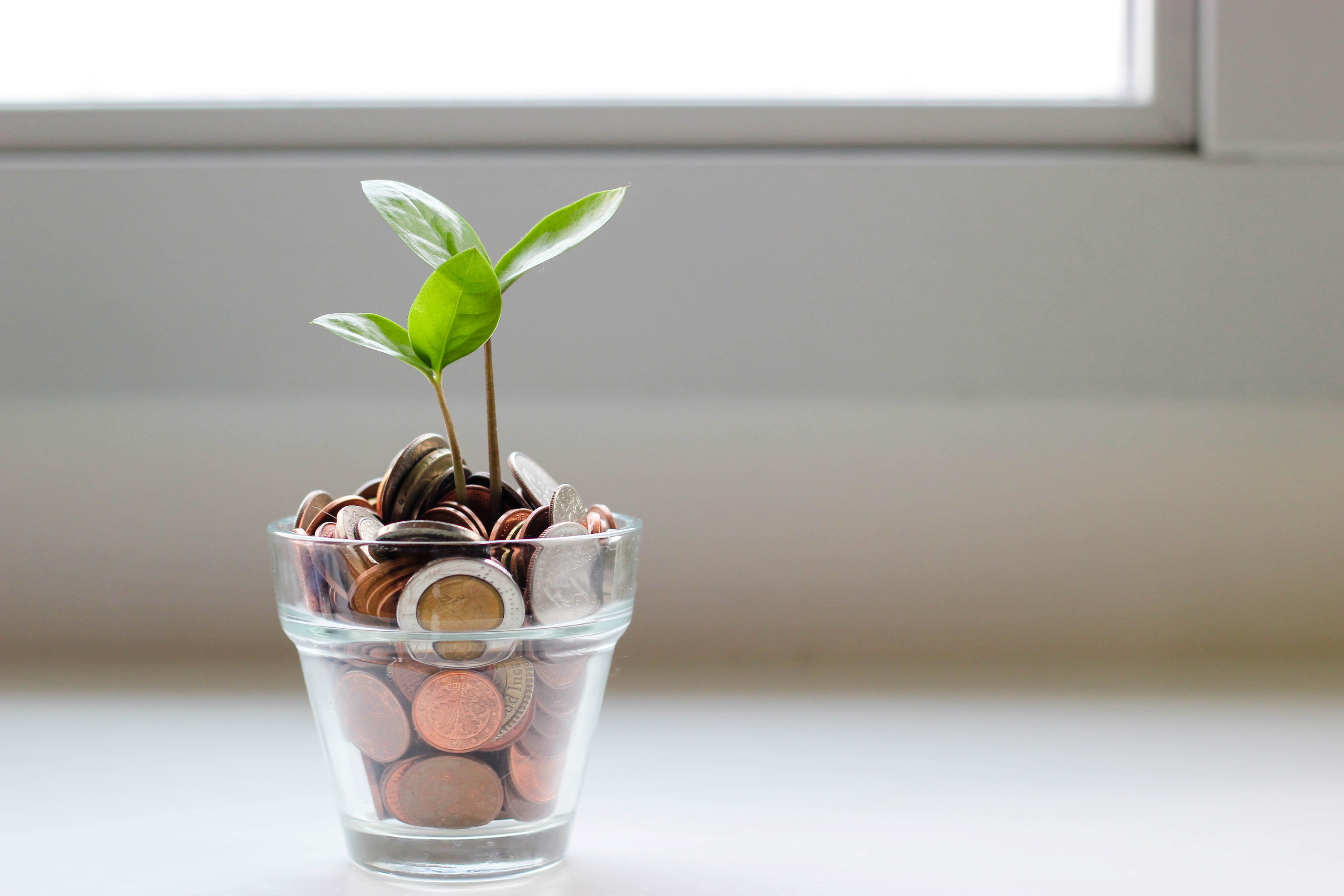 Why Work with an Advisor when you can DIY?