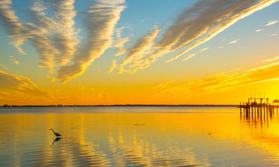 Tampa Bay banner image