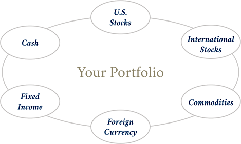 Your Portfolio
