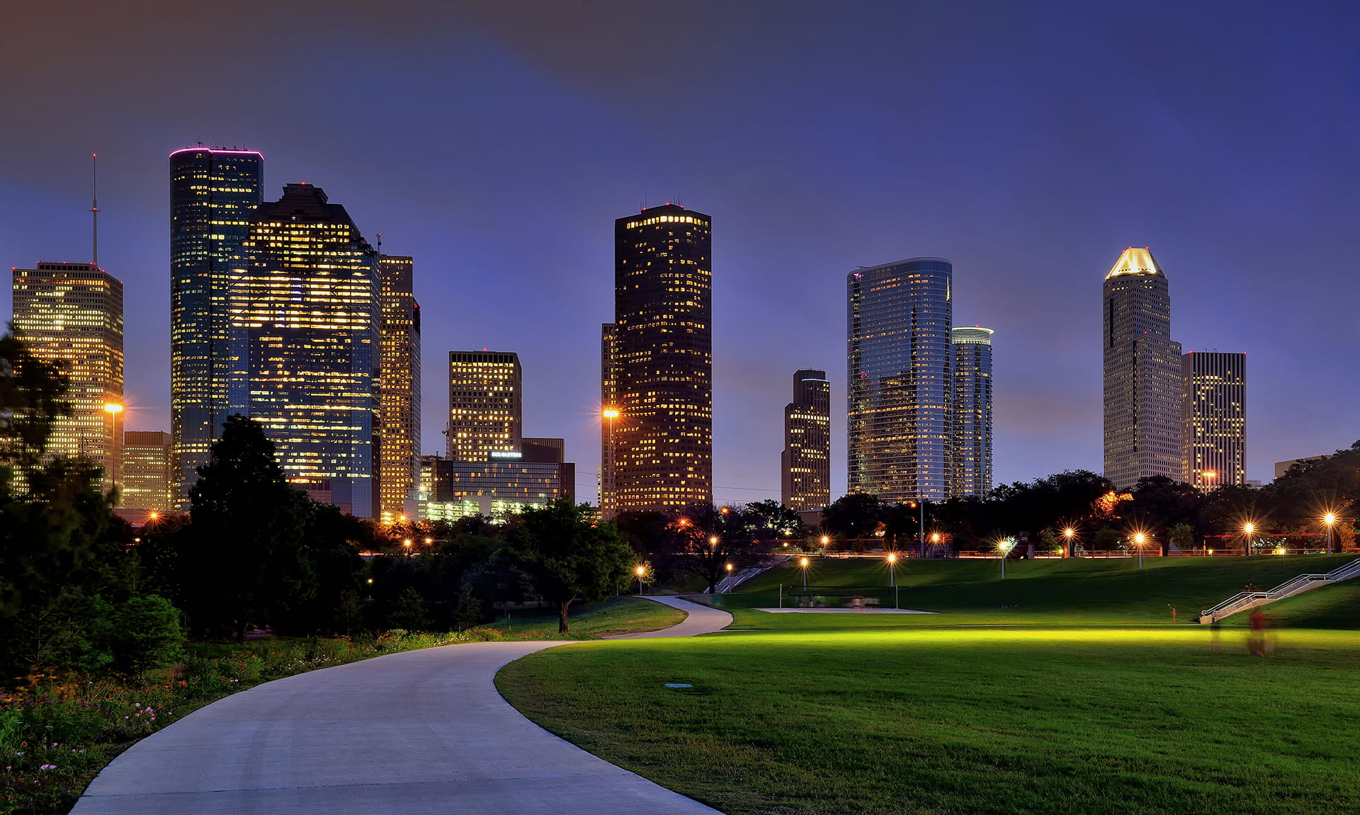 Houston Skyline from Park at Night
