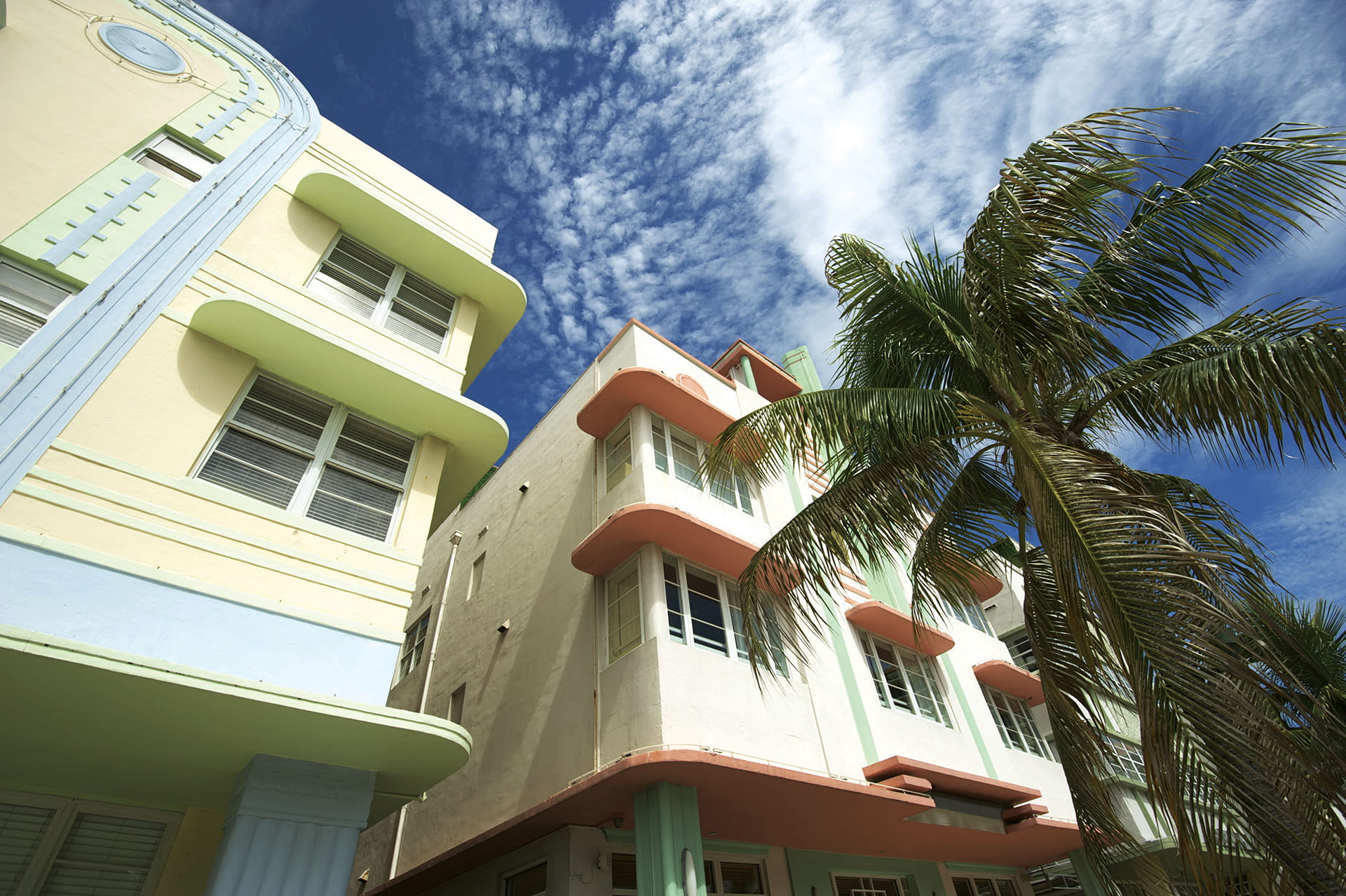 Miami Deco Drive Blue Sky Palms