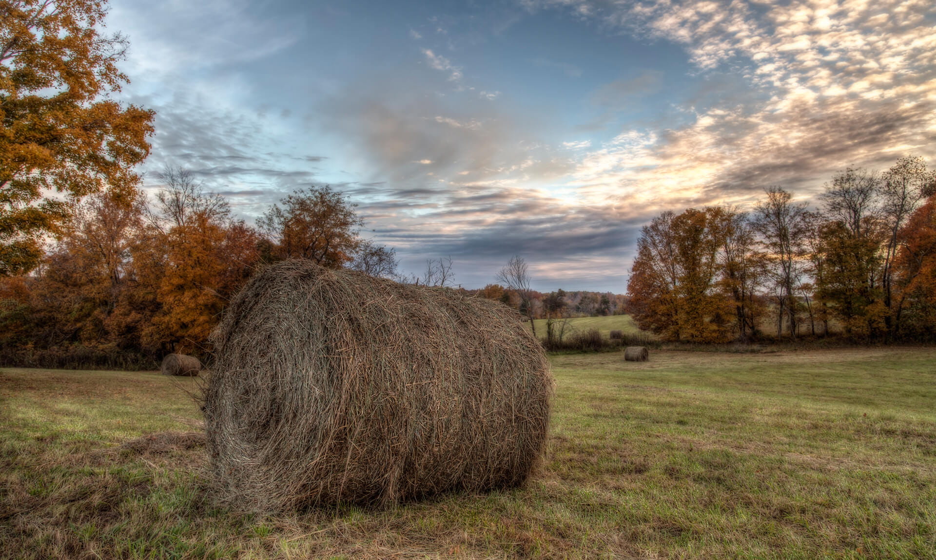 Ball of hay landscape