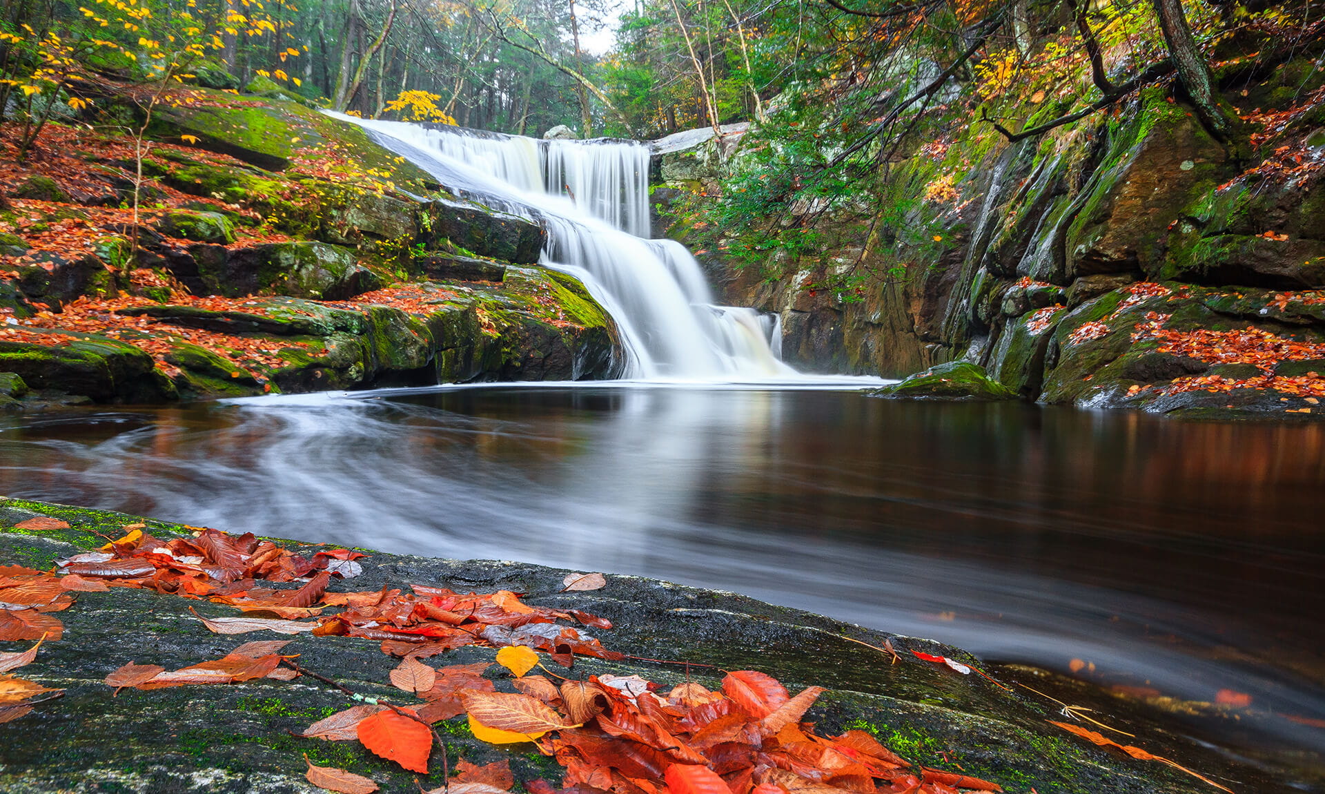 Fall Foilage Creek