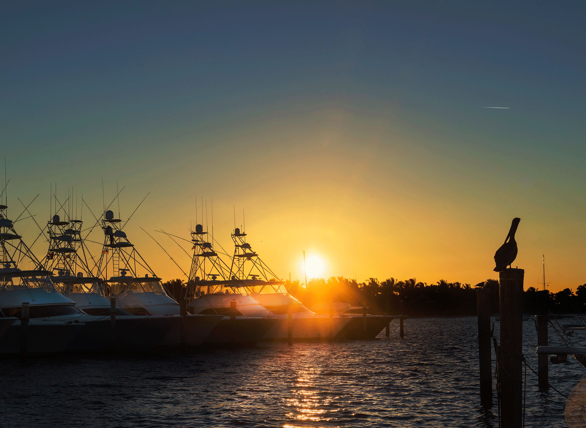 Palm Beach Dock Sunrise