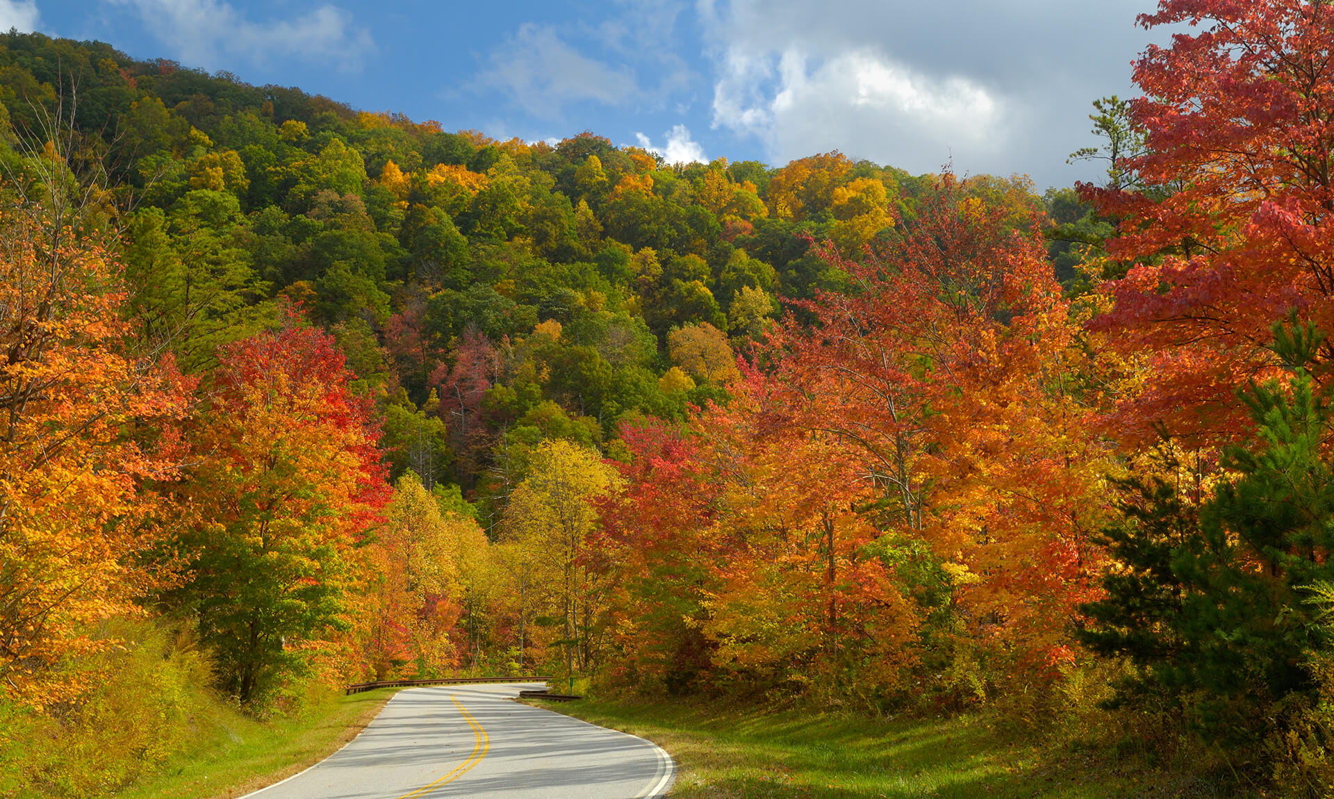 Appalachian Trail during Fall