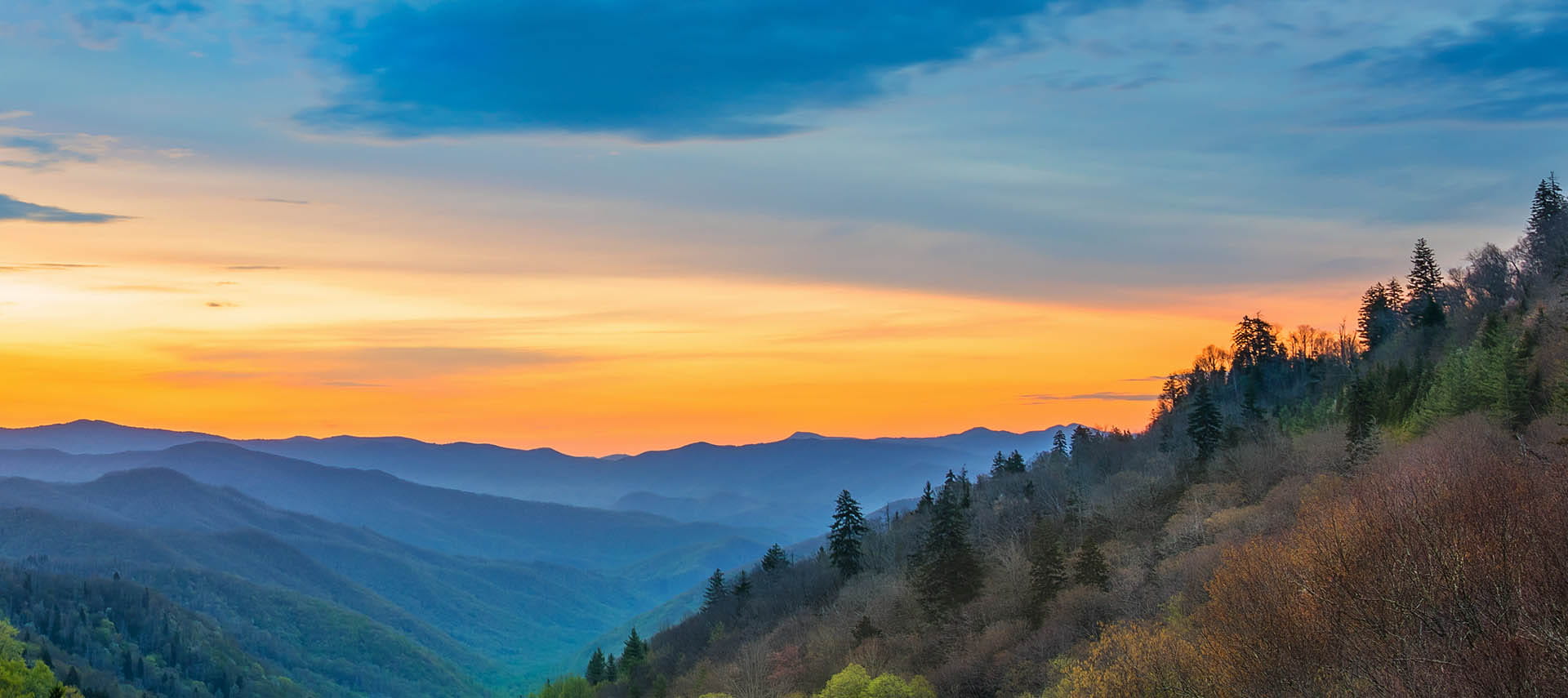 Pinnacle financial partners knoxville tn