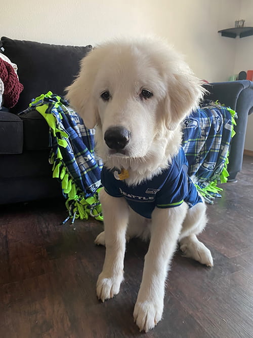 The 12th Man