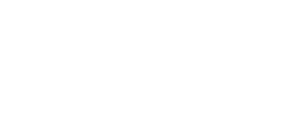 Bush Investment Group Logo