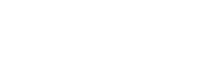 Bold Financial Partners