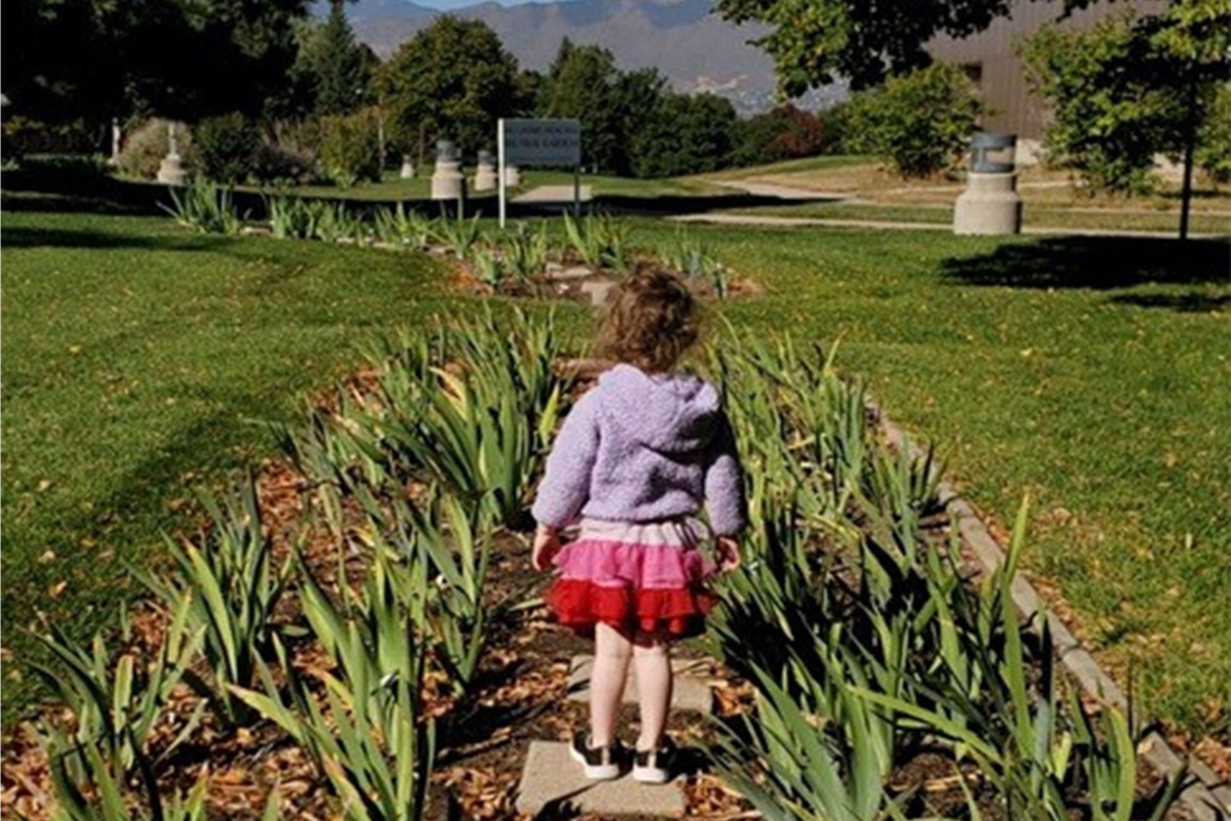 Money Matters: Fun and Practical Ways to Teach Your Kids About Money