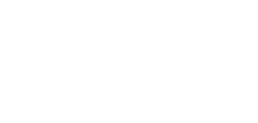 Biggins Wealth Services logo