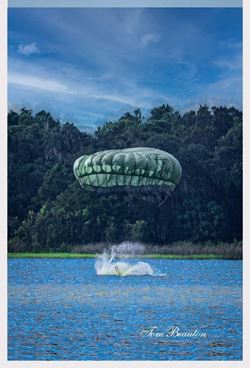 Parachute landing in water