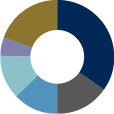 empty pie chart