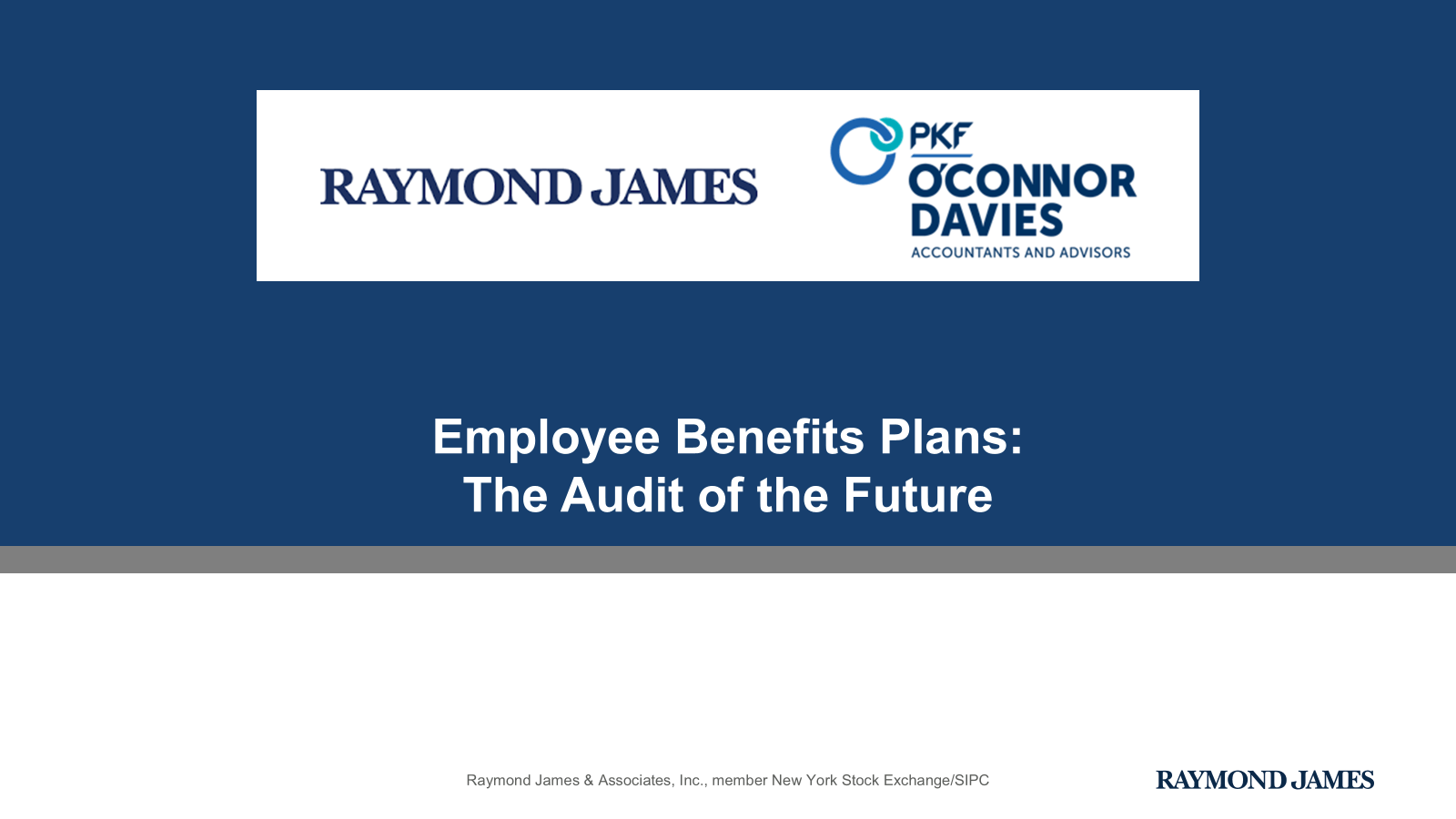 Navigating-Plan-Audit