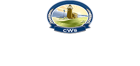Costello Wealth Strategies logo