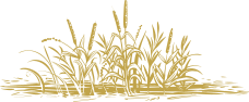 River vector landscape with trees and water