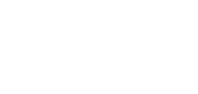 Flagship Investment Group Logo