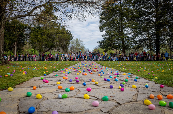 Egg Hunt
