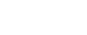 GFI Wealth Partners logo