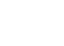 Hamilton Hamilton Wealth Management logo