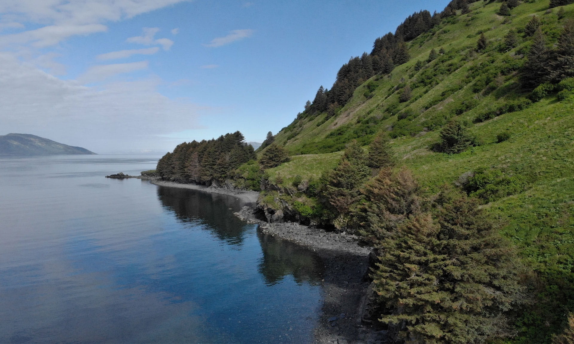 Green Hillside and Ocean Kodiak Green Hillside and Ocean Kodiak