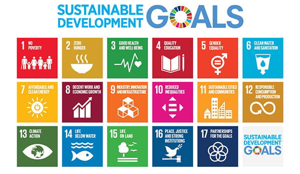 Sustainable development goals chart.