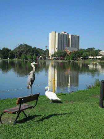 Lake Morton