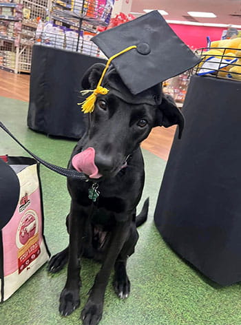 Pet of the Month