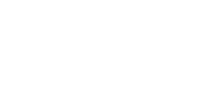Maestro Financial Partners logo