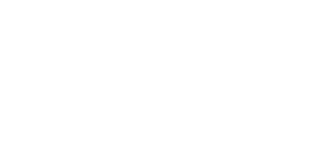 Evans Wealth Strategies Group Logo