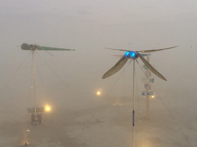 Dusty dragonflies.