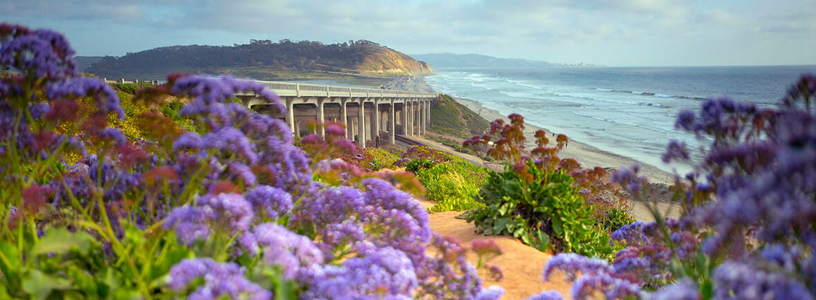 Del Mar California Landscape