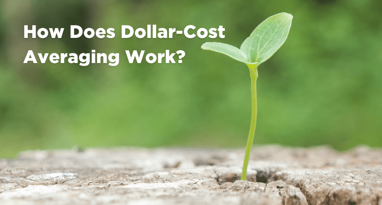 How Does Dollar Cost Averaging Work?