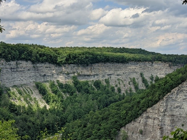 rock and trees view