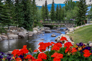 mountain stream