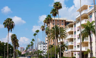Tampa bay banner image
