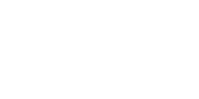 The Anania Group logo