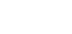 Vivian Investment Partners logo