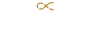 York Investment Partners logo