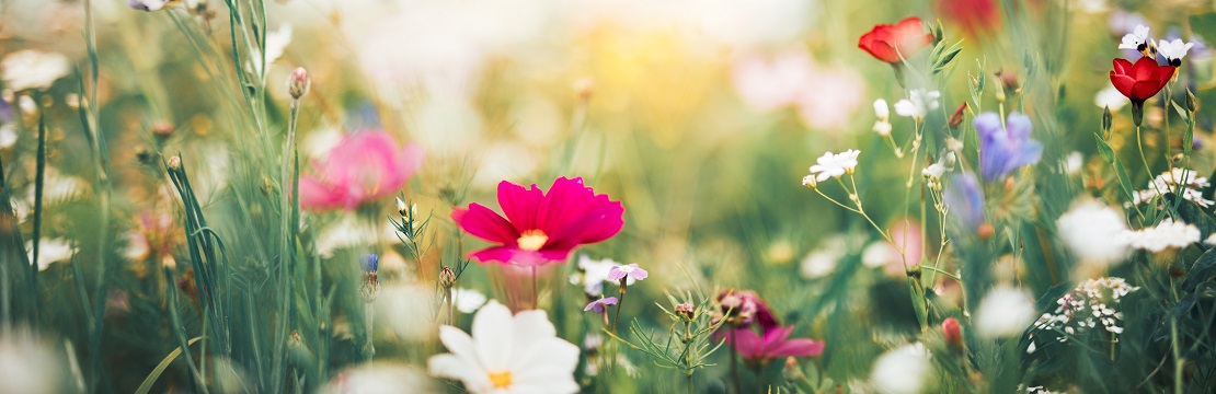 5 reasons for renewed optimism in the equity market
