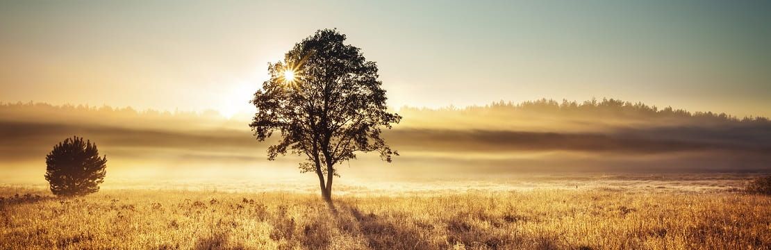 Will the sun set on generous estate and gift tax exemptions in 