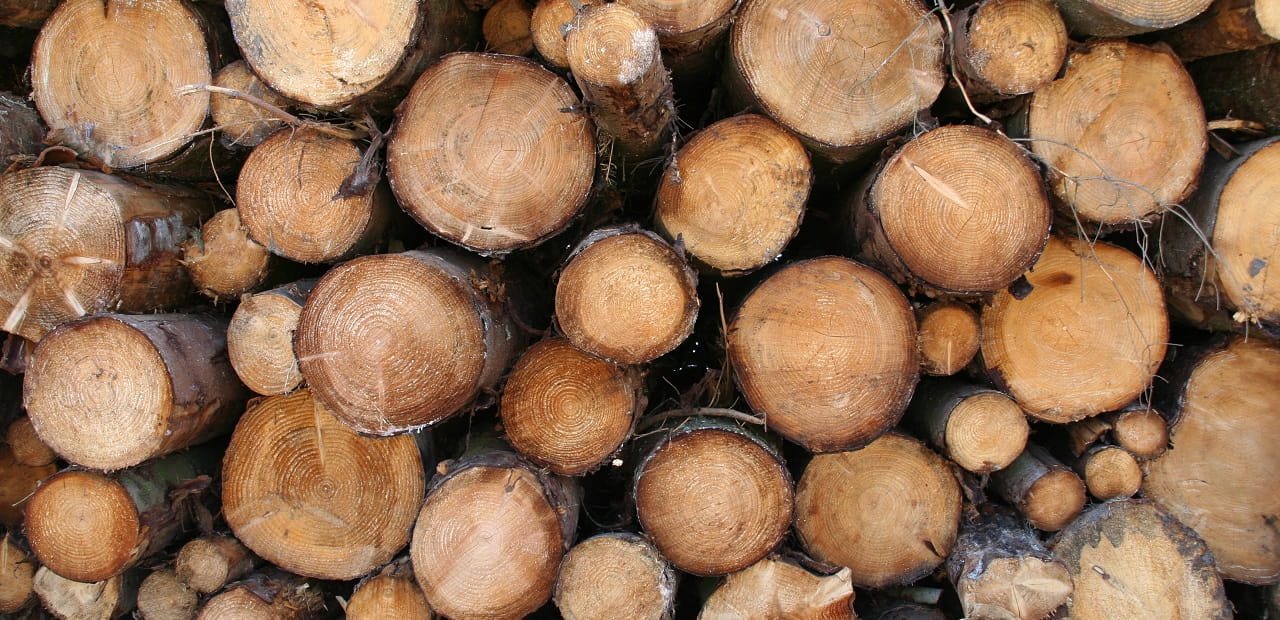 Stacked, cut timber with varying sized logs